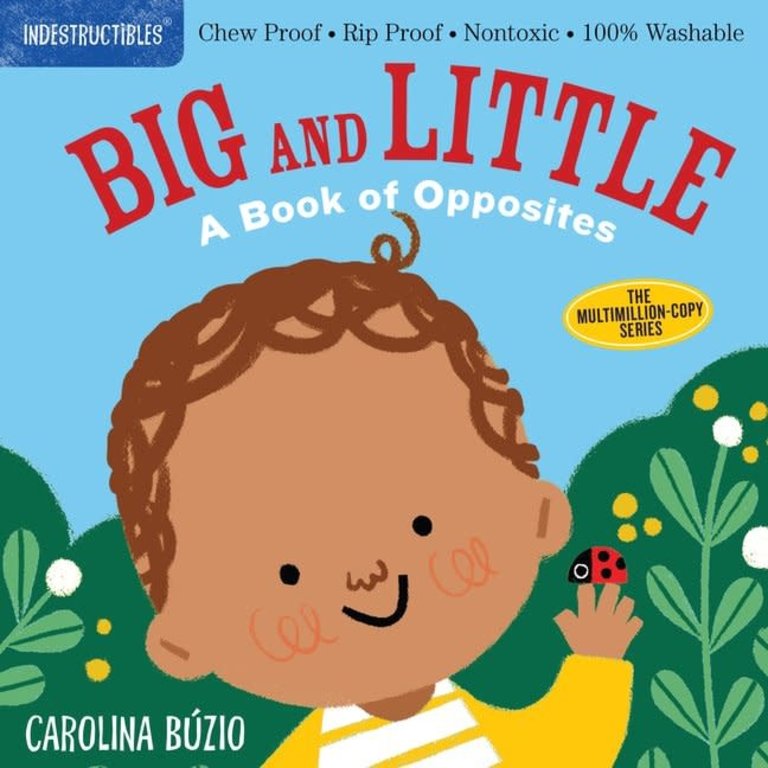 Libro Indestructible: Big and Little