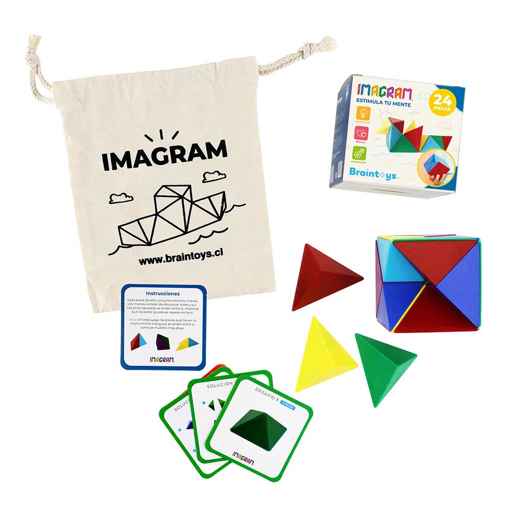 IMAGRAM 24 piezas, Braintoys - Juego de construcción